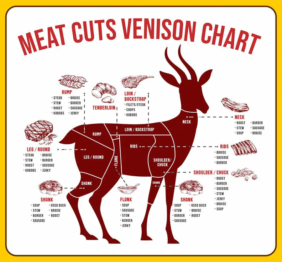 meat cuts venison chart the sausage maker